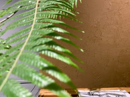 外墙稻草漆